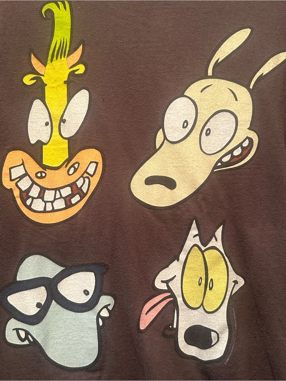 Vintage 2009 Nickelodeon Rocko’s Modern Life Character Graphic T-shirt